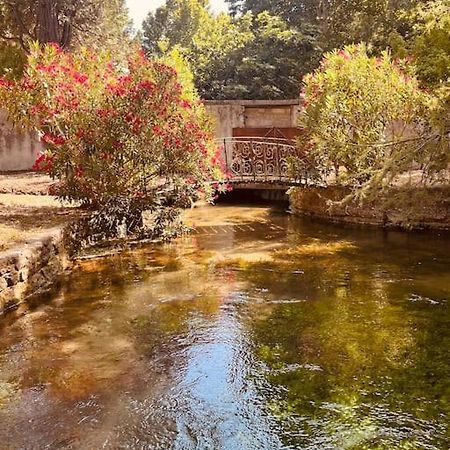 Appartement Fontaine De Vaucluse ภายนอก รูปภาพ