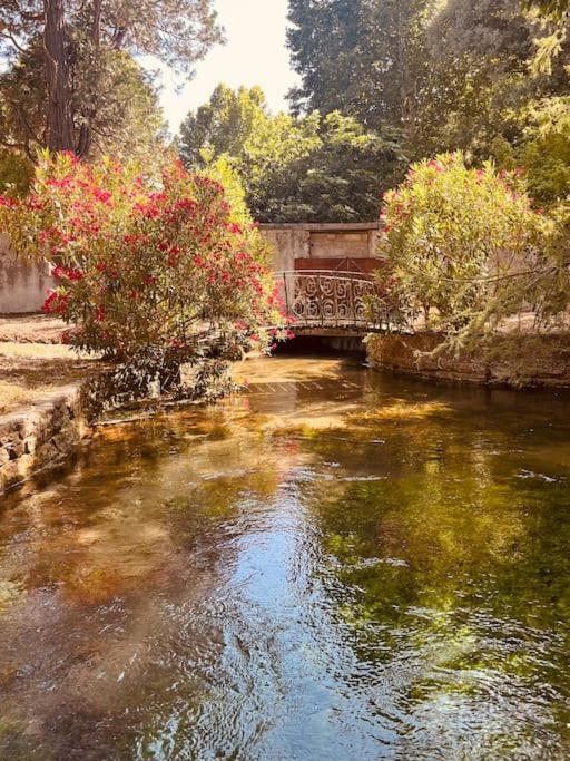 Appartement Fontaine De Vaucluse ภายนอก รูปภาพ